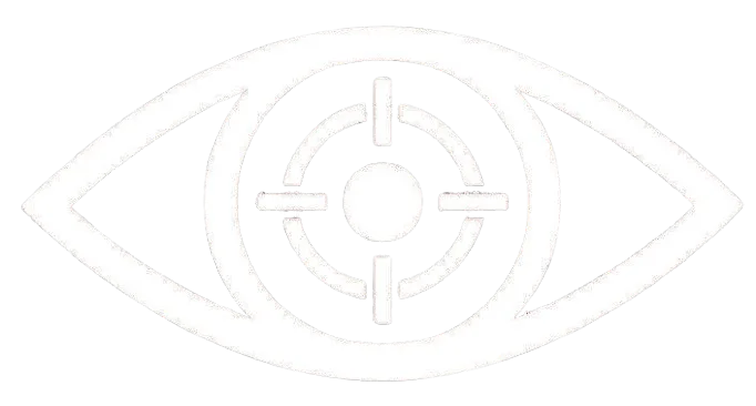 vision